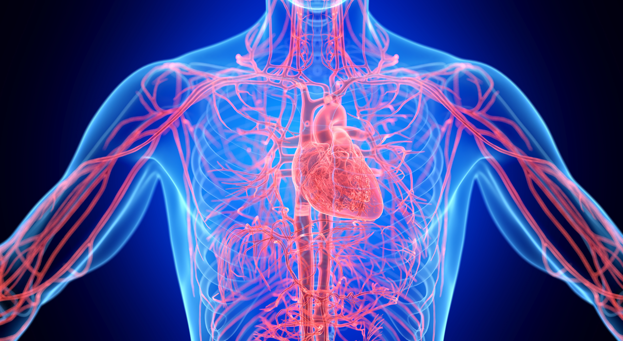 Poor Blood Flow—Warning Signs to Watch For