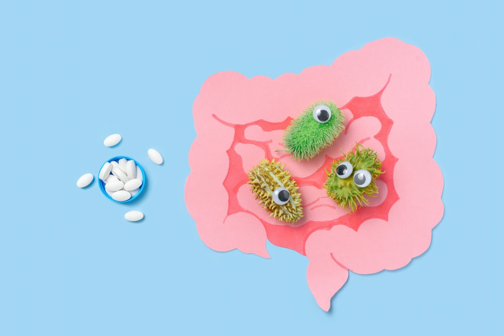 Digestive Enzymes For Greater Gut Health