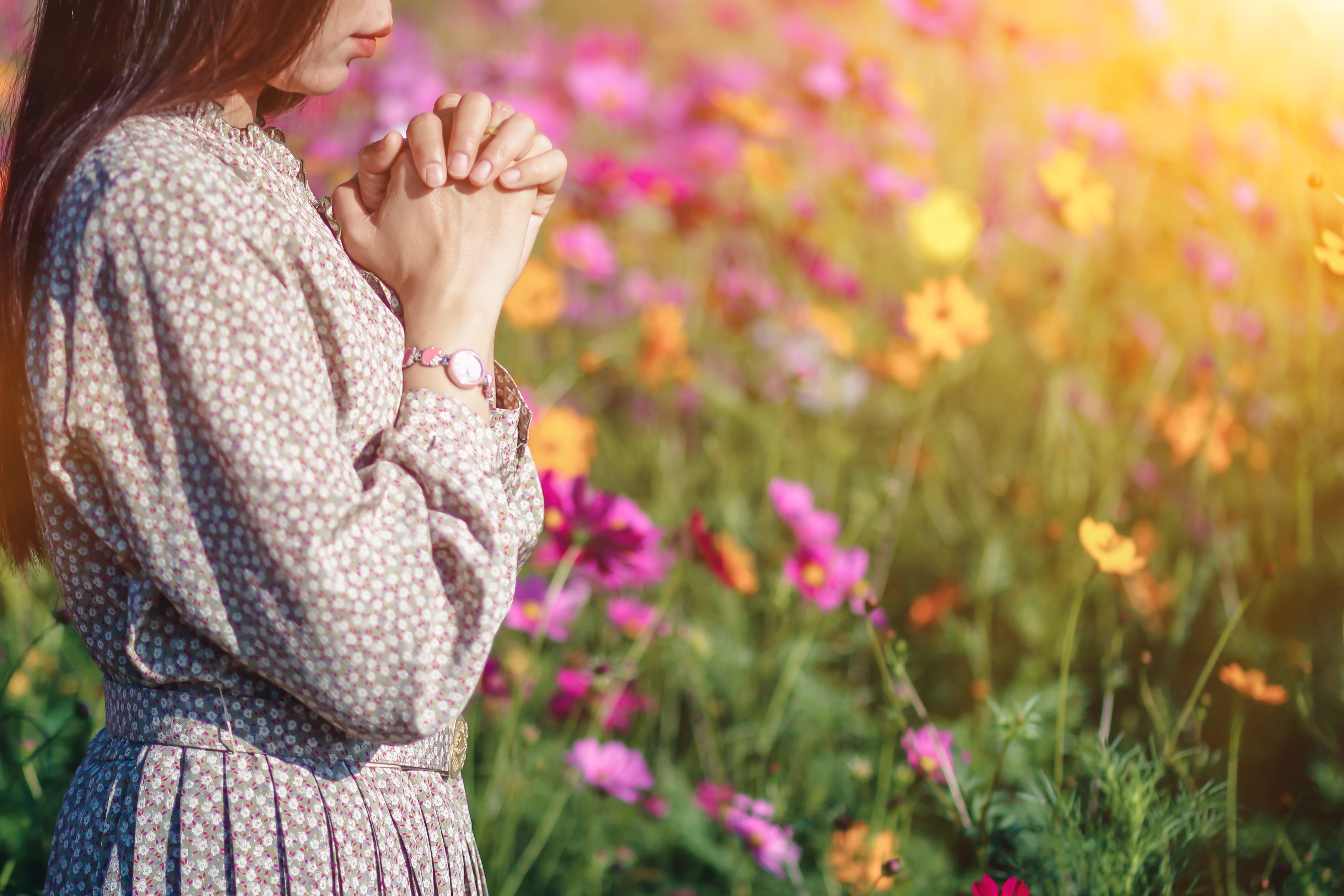 From Proverbs to Wellness: Strength Through Anti-Inflammatory Nutrition