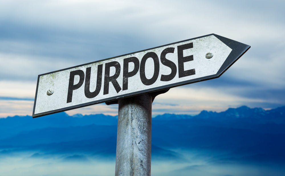 True Happiness is Found in Purpose — Take the Life Purpose Quiz