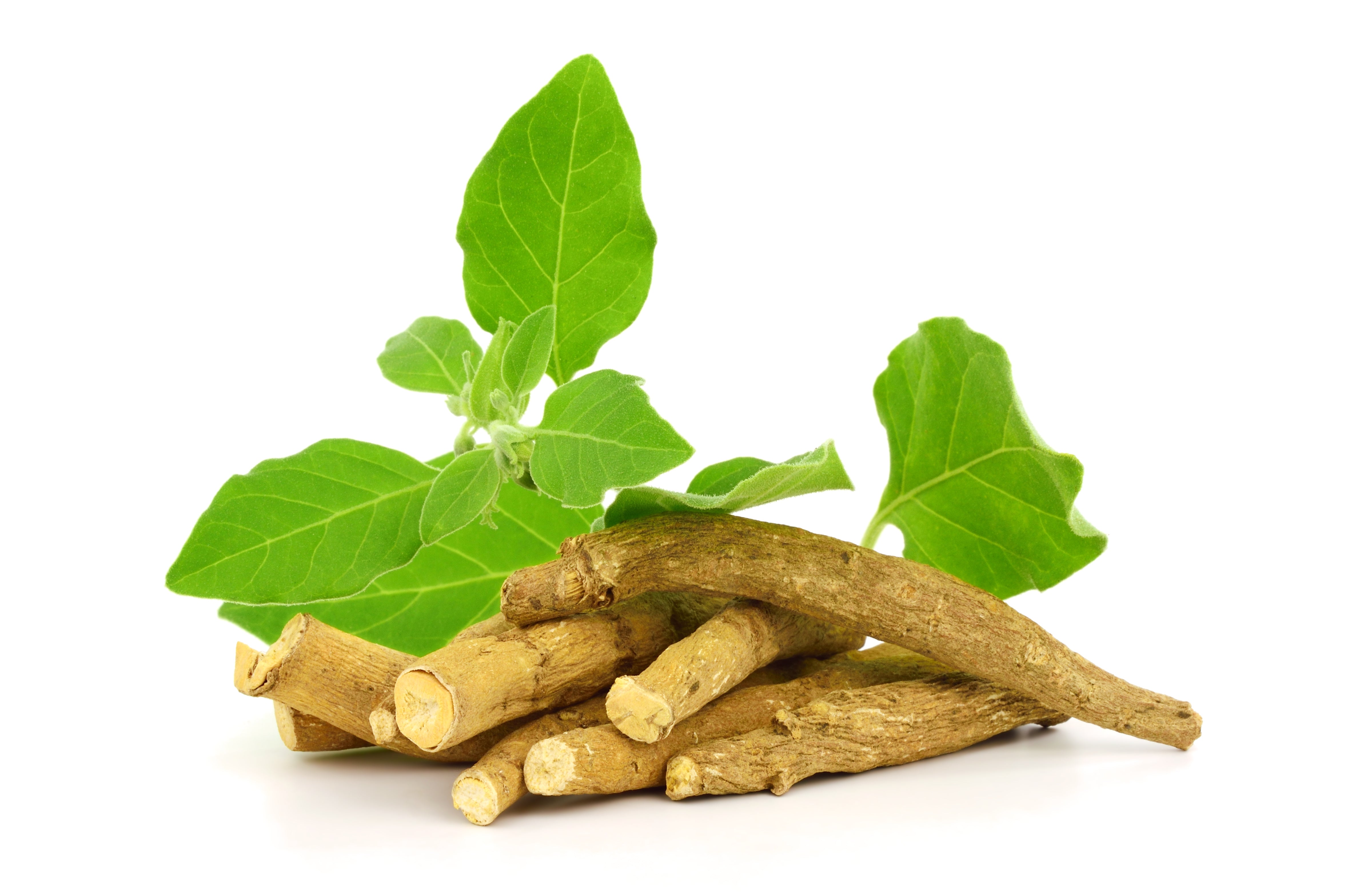 The Top 10 Reasons You Should Take Ashwagandha
