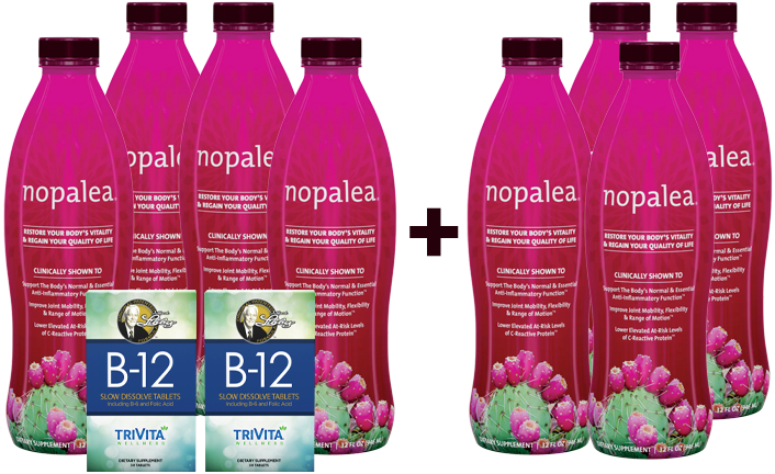 Nopalea 60 Day Plan