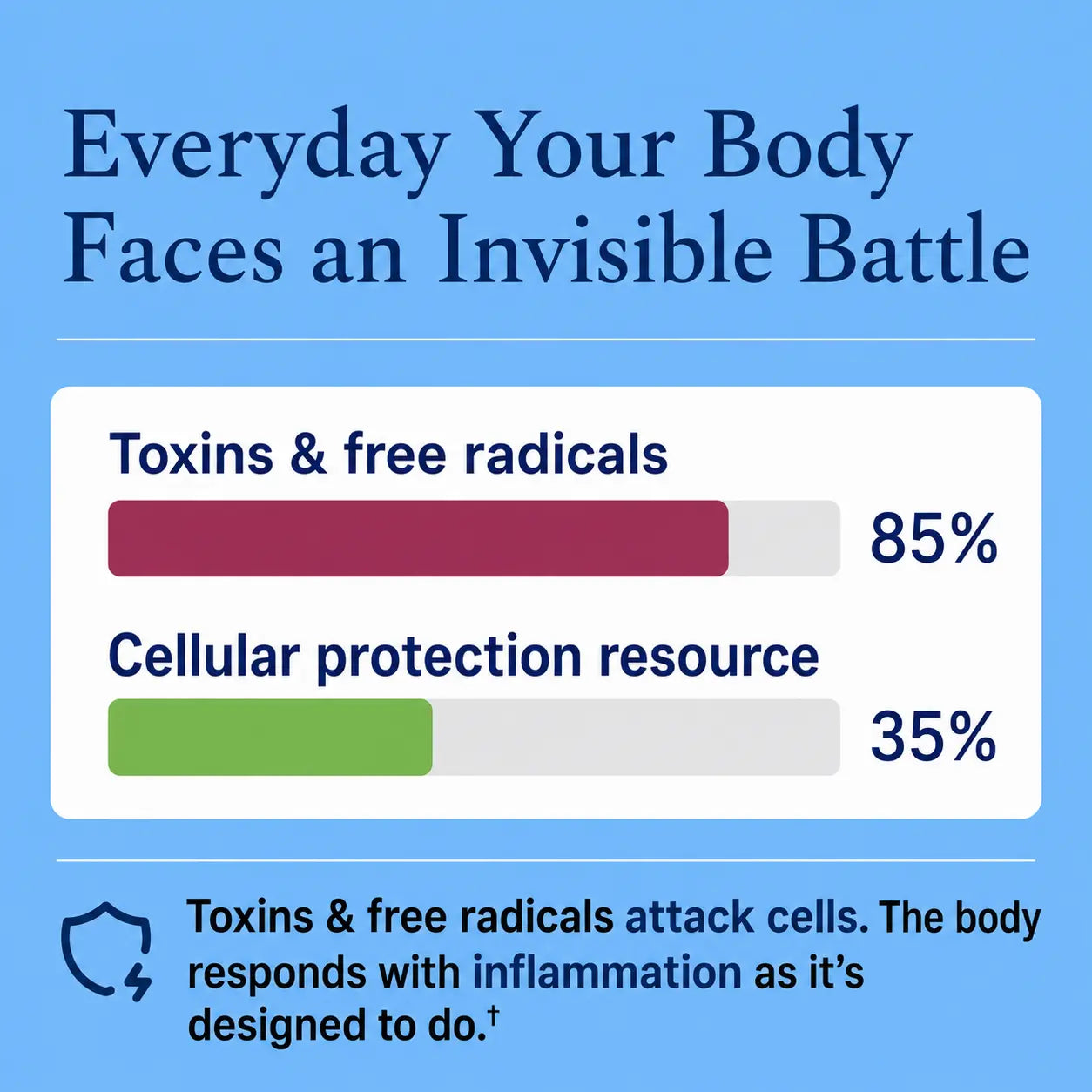Nopalea 60 Day Plan - For Healthy Inflammation Response
