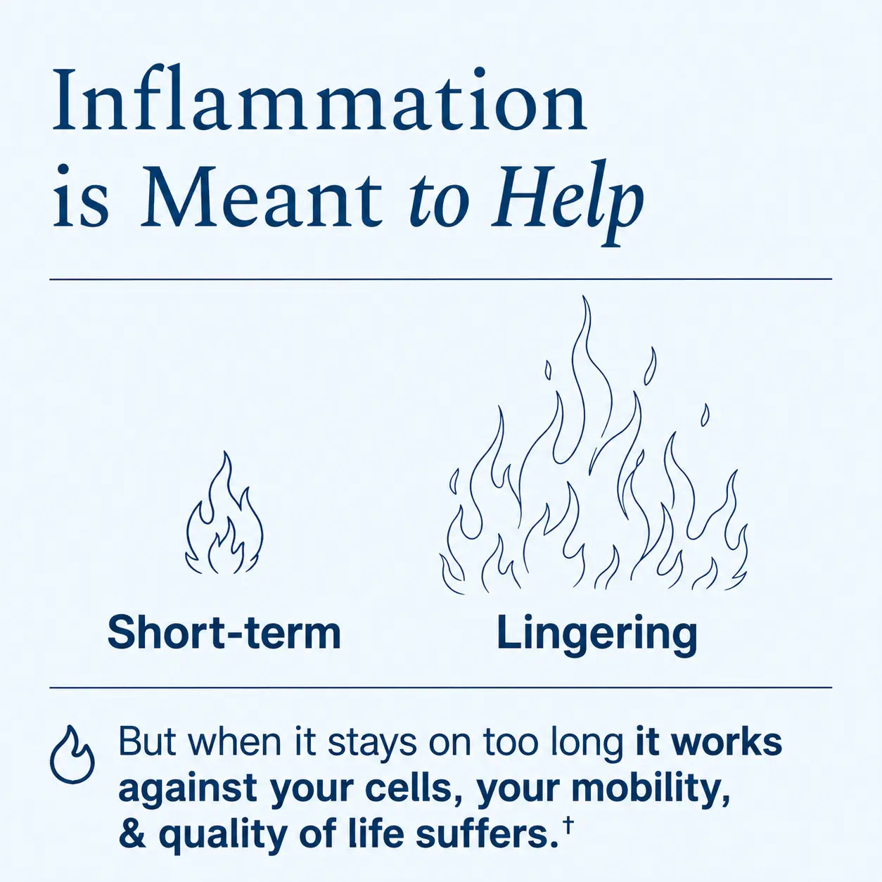 Nopalea 60 Day Plan - For Healthy Inflammation Response