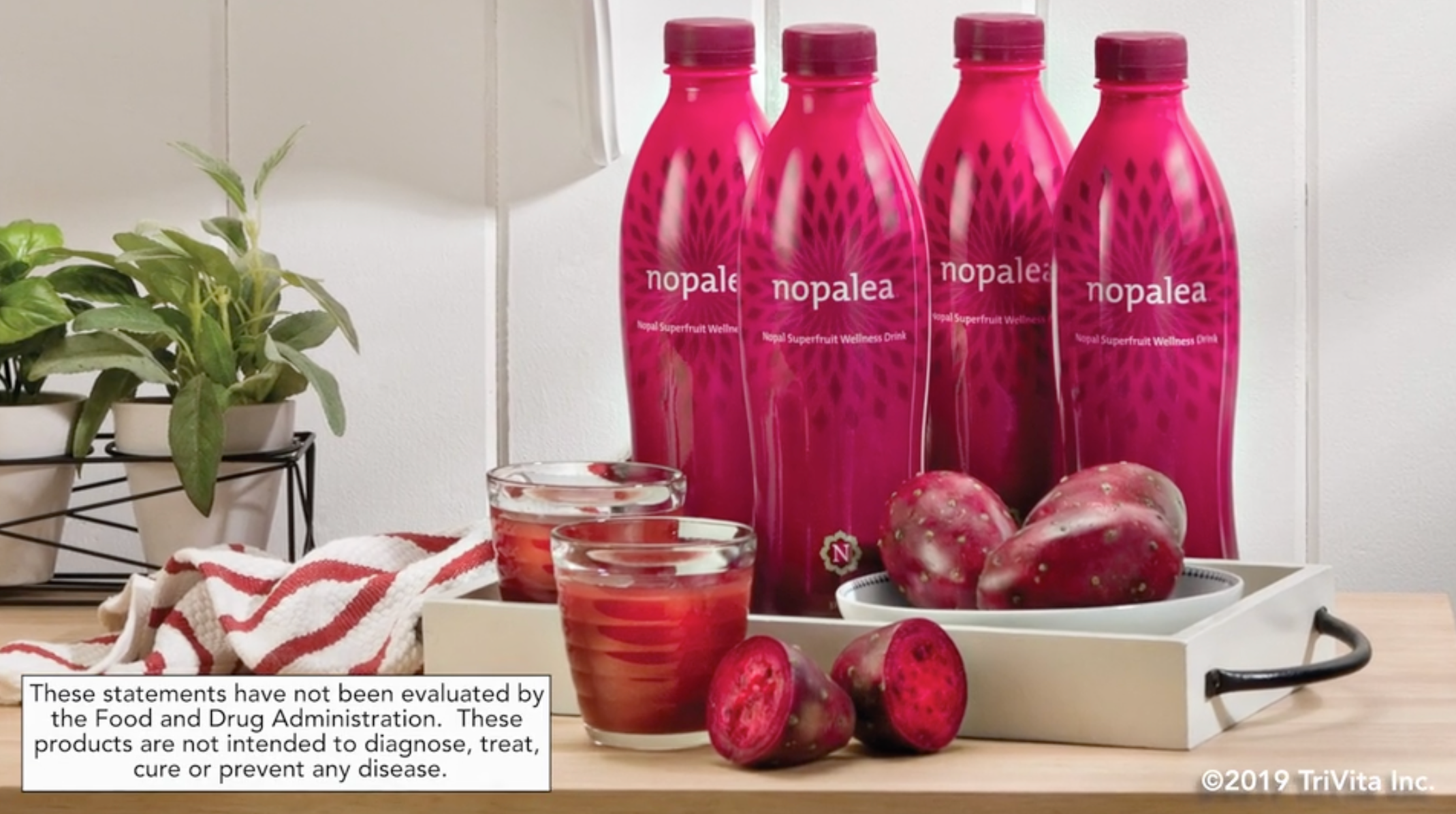 Nopalea