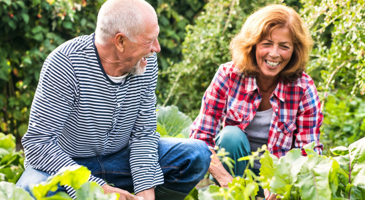 Two Kinds of Inflammation—and Why the Difference Matters