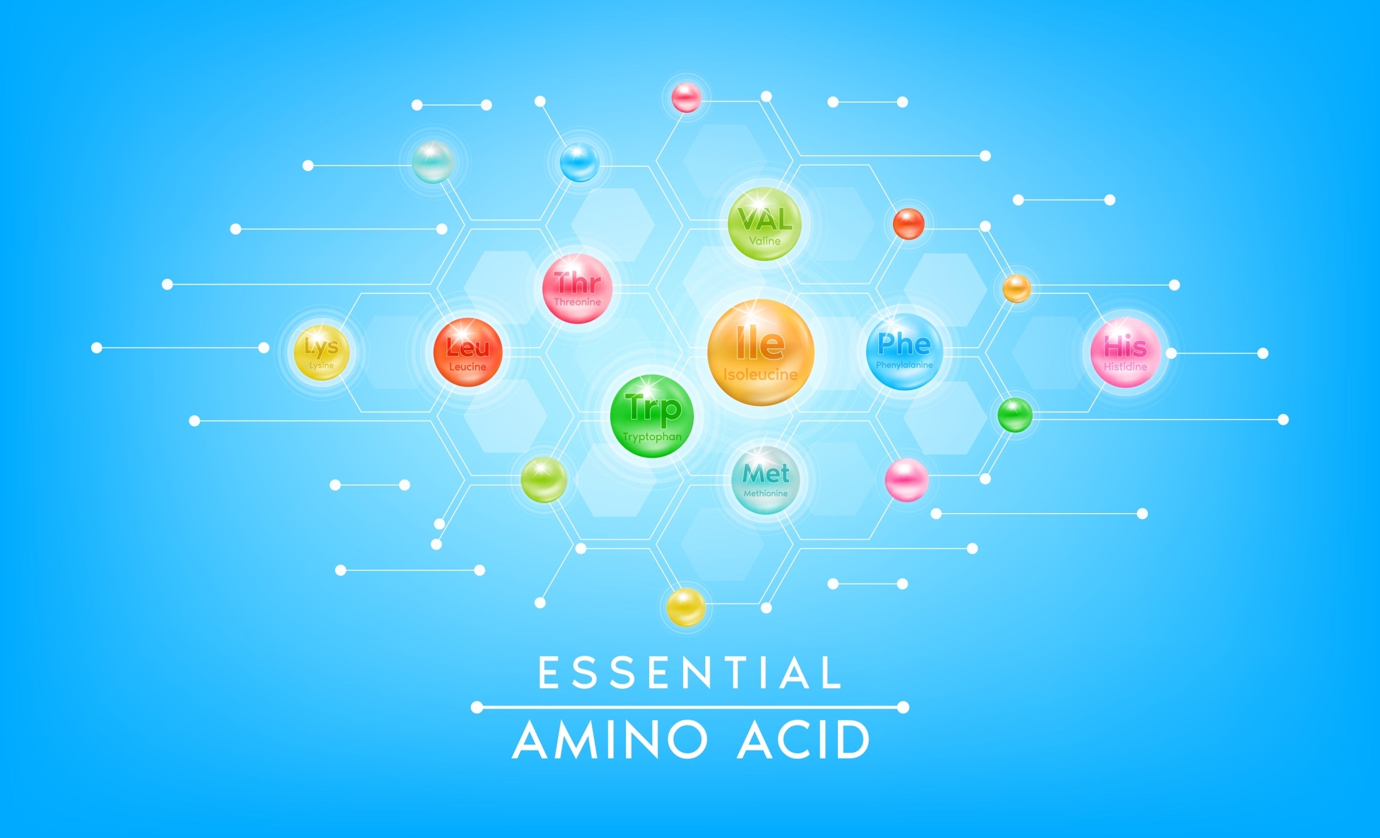 Vitamins for Muscles - Healthy Muscle Nutrients