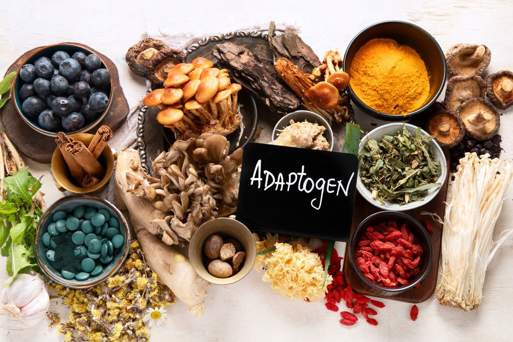 Celebrities on Adaptogens