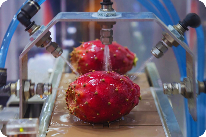 From Harvest to Your Home