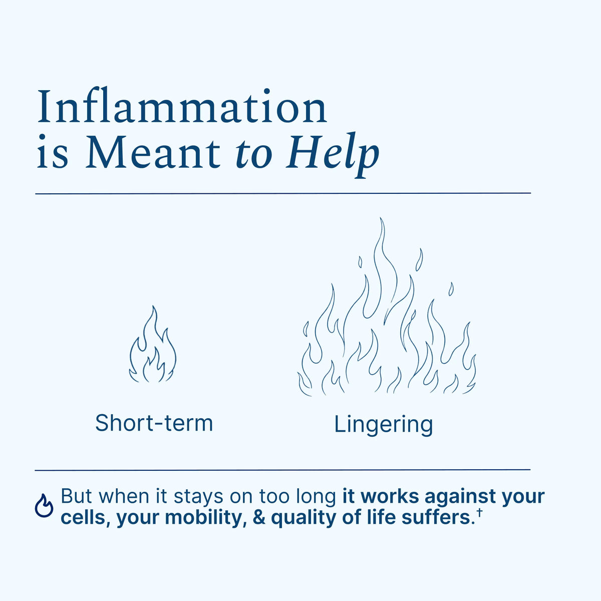 Nopalea® Healthy Inflammation Support