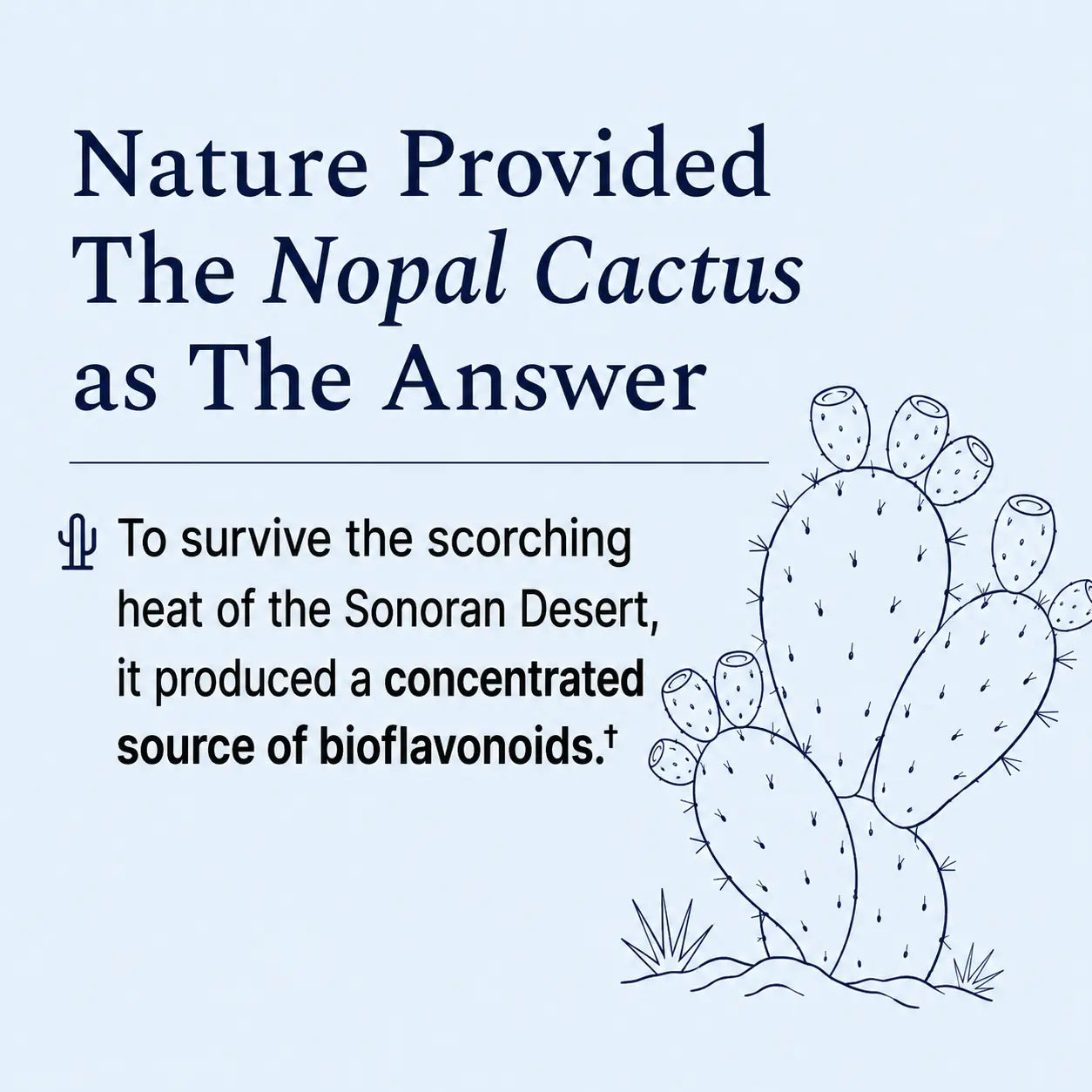 Nopalea First Bottle Free*