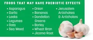 Prebiotics and Probiotics For Ultimate Gut Health