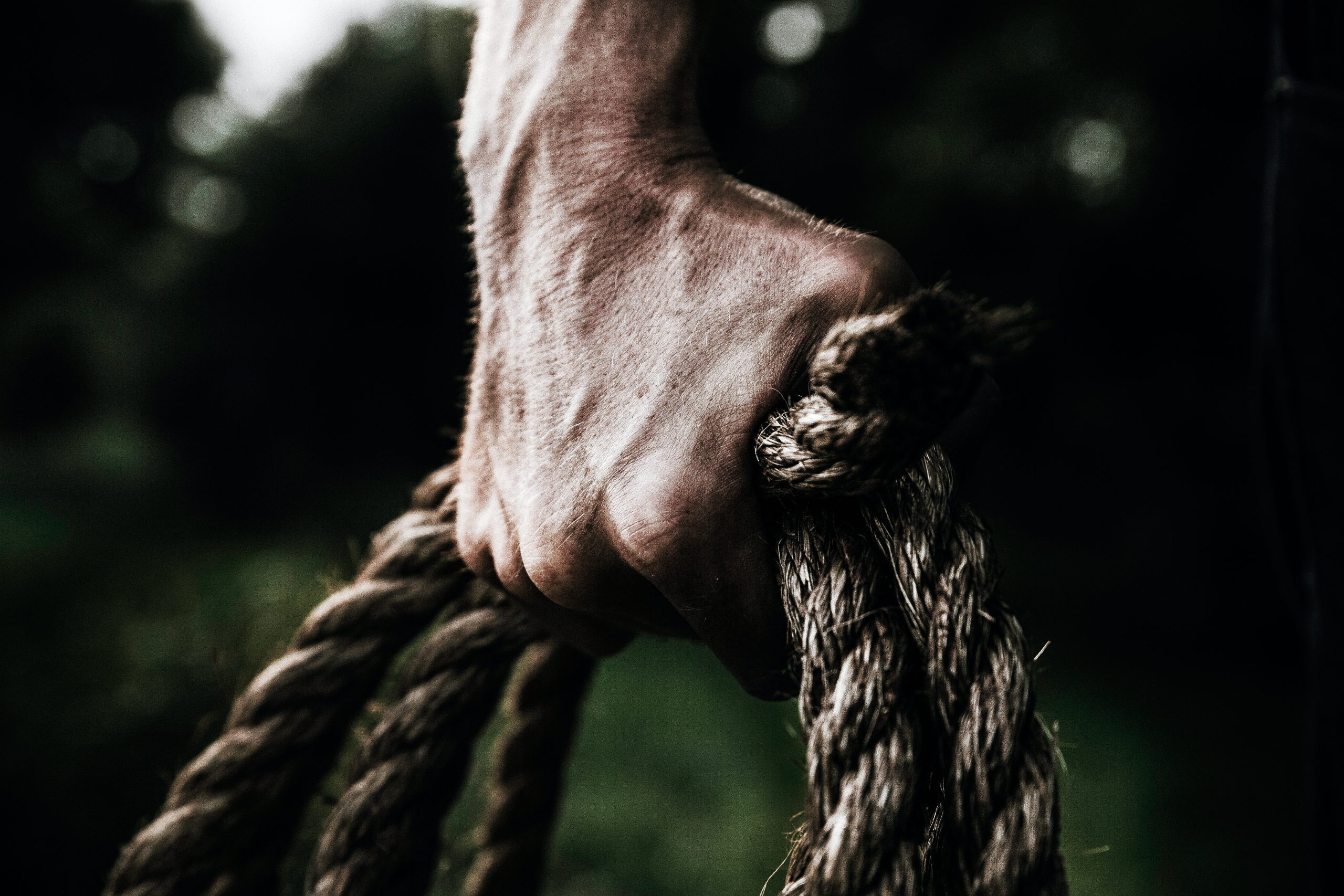 6 Surprising Benefits of Strength Training