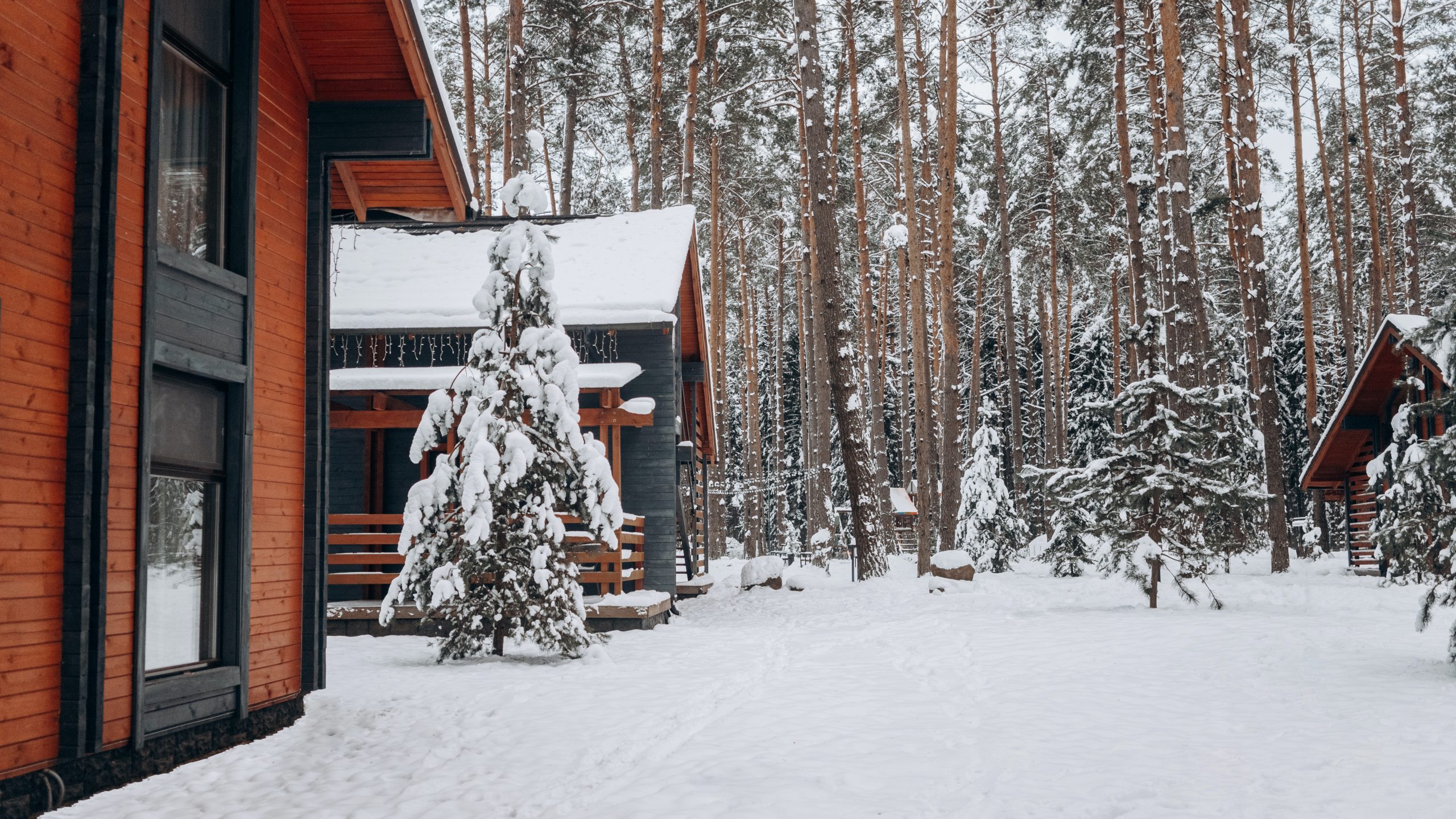 Wellness Habits and the Holidays