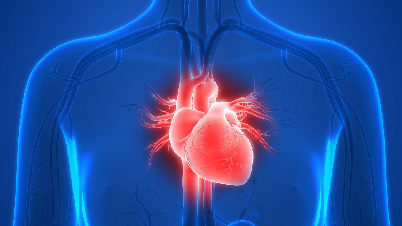 Show Your Heart Love With Important Vitamin K2