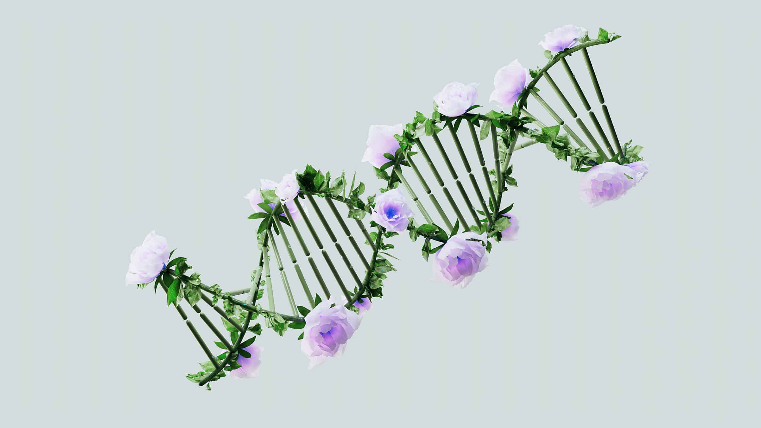 Human Molecular Genetics and Genomics — Important Advances