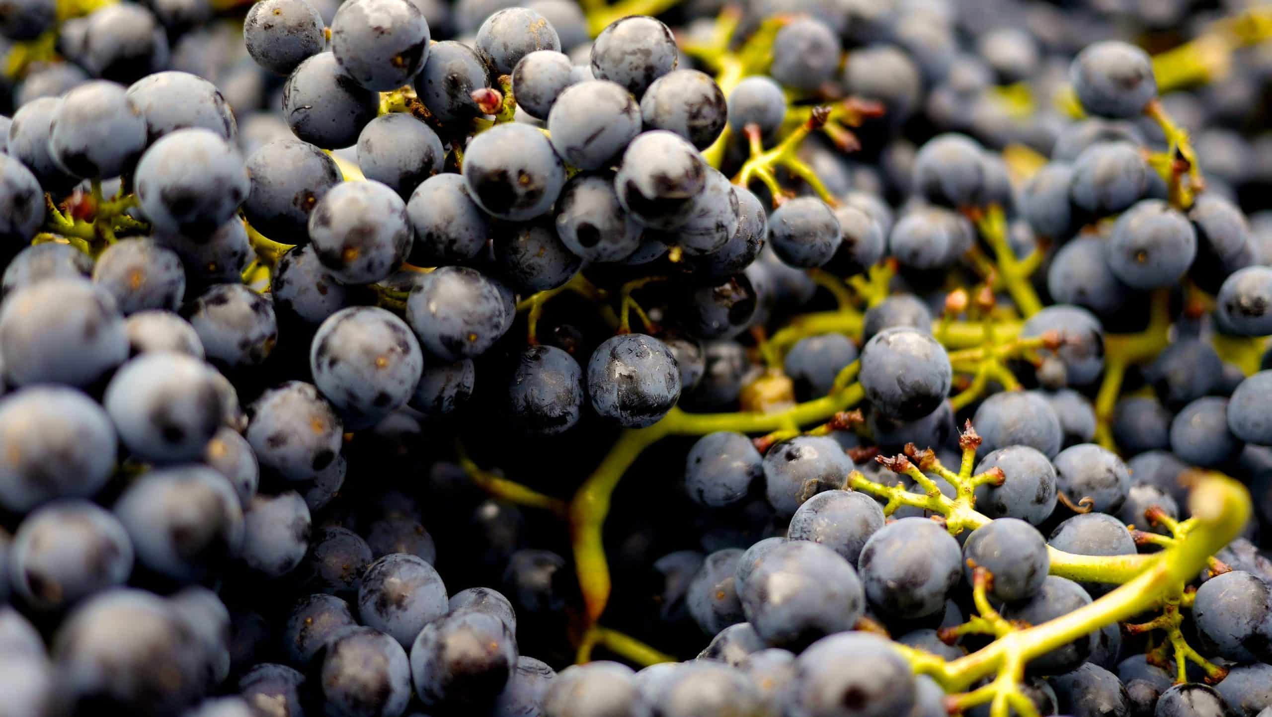 The Anti-Inflammatory Effects of Resveratrol