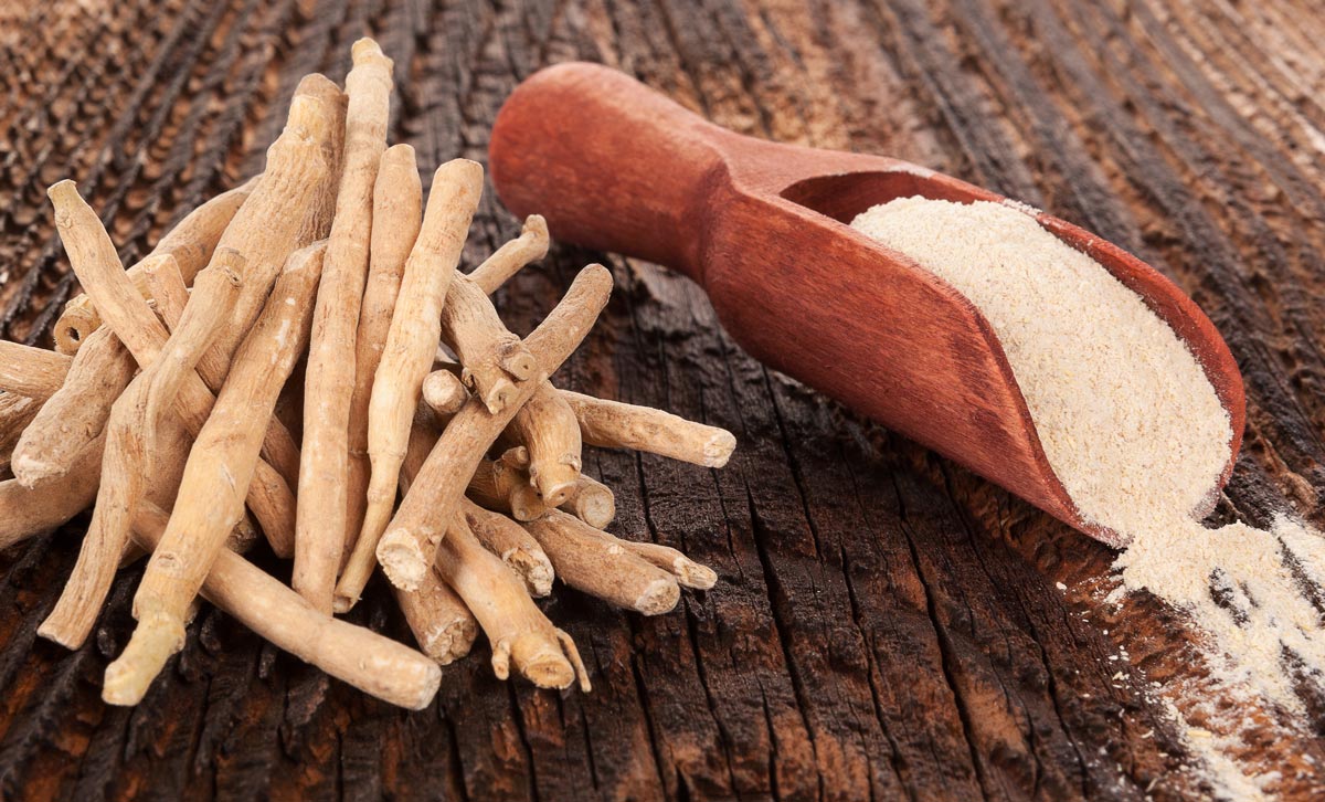 Ashwagandha, the Ancient Adaptogenic Herb