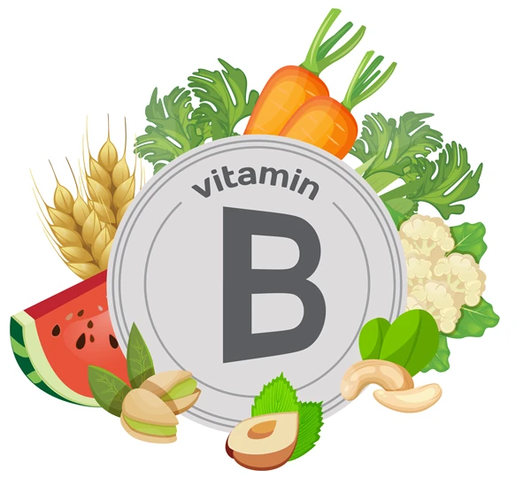 The Power of B Vitamins
