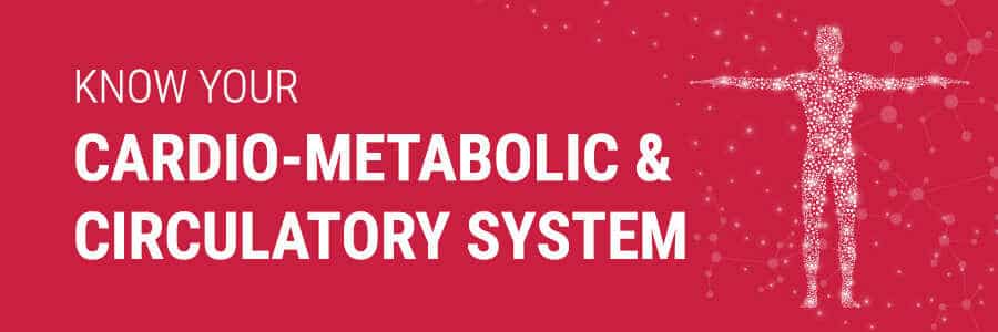 Cardio-Metabolic & Circulatory System